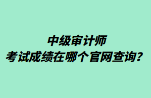 中級審計(jì)師考試成績在哪個(gè)官網(wǎng)查詢？