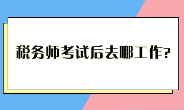 稅務(wù)師考試后去哪工作？