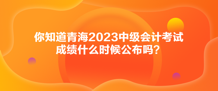 你知道青海2023中級會(huì)計(jì)考試成績什么時(shí)候公布嗎？