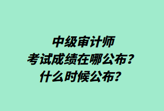 中級(jí)審計(jì)師考試成績(jī)?cè)谀墓?？什么時(shí)候公布？