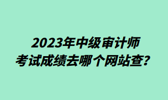 2023年中級(jí)審計(jì)師考試成績?nèi)ツ膫€(gè)網(wǎng)站查？