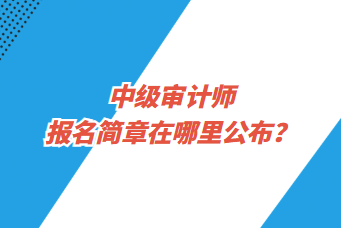 中級(jí)審計(jì)師報(bào)名簡(jiǎn)章在哪里公布？