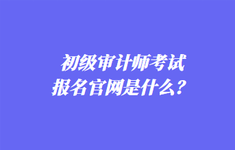 初級(jí)審計(jì)師考試報(bào)名官網(wǎng)是什么？