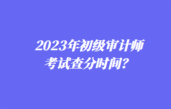 2023年初級審計師考試查分時間？