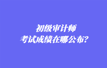 初級審計師考試成績在哪公布？