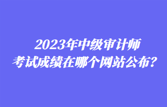 2023年中級(jí)審計(jì)師考試成績?cè)谀膫€(gè)網(wǎng)站公布？