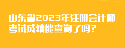 山東省2023年注冊(cè)會(huì)計(jì)師考試成績(jī)能查詢了嗎？