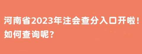 河南省2023年注會查分入口開啦！如何查詢呢？