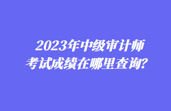 2023年中級(jí)審計(jì)師考試成績在哪里查詢？