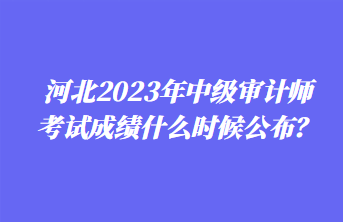 河北2023年中級審計師考試成績什么時候公布？