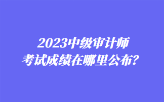 2023中級審計師考試成績在哪里公布？