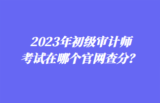 2023年初級(jí)審計(jì)師考試在哪個(gè)官網(wǎng)查分？