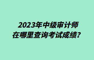 2023年中級審計師在哪里查詢考試成績？