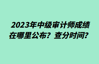 2023年中級(jí)審計(jì)師成績(jī)?cè)谀睦锕?？查分時(shí)間？