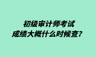 初級(jí)審計(jì)師考試成績(jī)大概什么時(shí)候查？