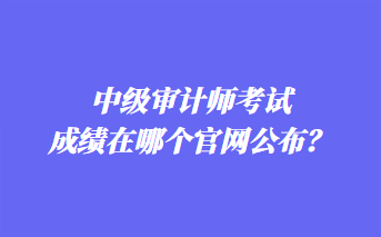 中級審計師考試成績在哪個官網(wǎng)公布？