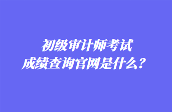 初級審計師考試成績查詢官網(wǎng)是什么？