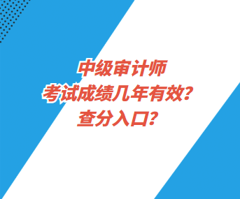 中級審計師考試成績幾年有效？查分入口？