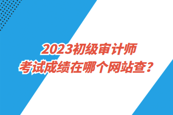 2023初級審計(jì)師考試成績在哪個(gè)網(wǎng)站查？