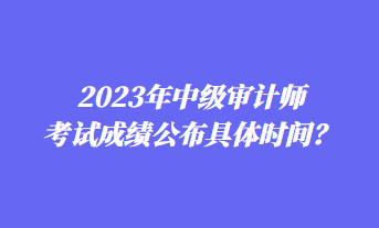 2023年中級(jí)審計(jì)師考試成績(jī)公布具體時(shí)間？