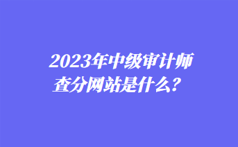 2023年中級審計師查分網(wǎng)站是什么？