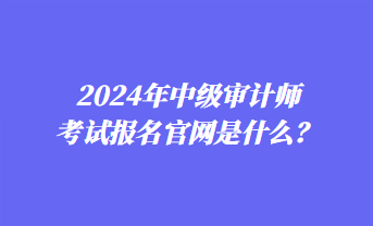 2024年中級(jí)審計(jì)師考試報(bào)名官網(wǎng)是什么？