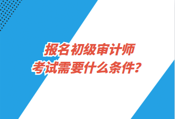 報名初級審計師考試需要什么條件？