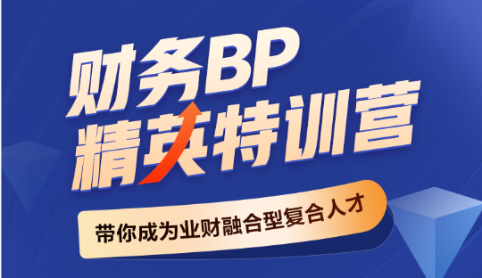 財務(wù)BP