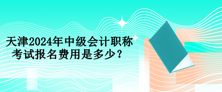 天津2024年中級(jí)會(huì)計(jì)職稱考試報(bào)名費(fèi)用是多少？