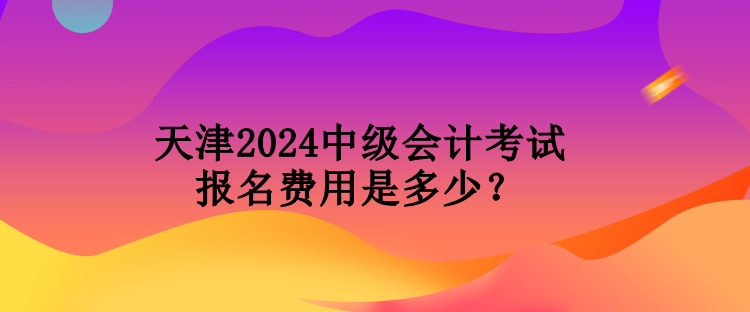 天津2024中級會(huì)計(jì)考試報(bào)名費(fèi)用是多少？