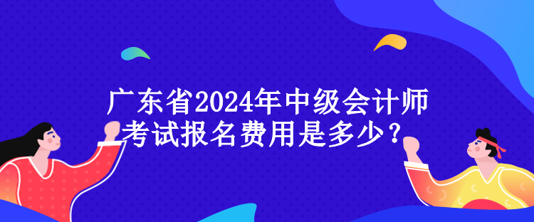 廣東省2024年中級(jí)會(huì)計(jì)師考試報(bào)名費(fèi)用是多少？