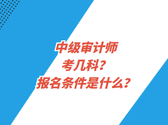 中級(jí)審計(jì)師考幾科？報(bào)名條件是什么？