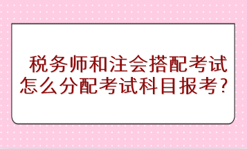 稅務(wù)師和注會搭配考試怎么分配考試科目進行報考？