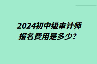 2024初中級審計師報名費用是多少？