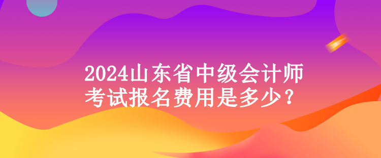 2024山東省中級會計師考試報名費用是多少？