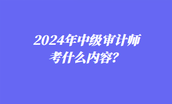 2024年中級(jí)審計(jì)師考什么內(nèi)容？