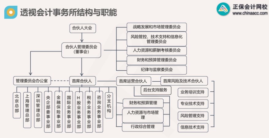 會(huì)計(jì)事務(wù)所結(jié)構(gòu)與職能示例