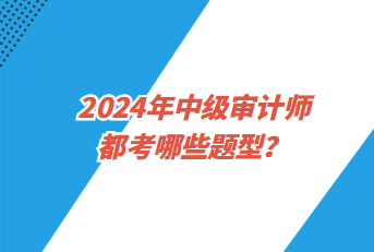 2024年中級審計(jì)師都考哪些題型？