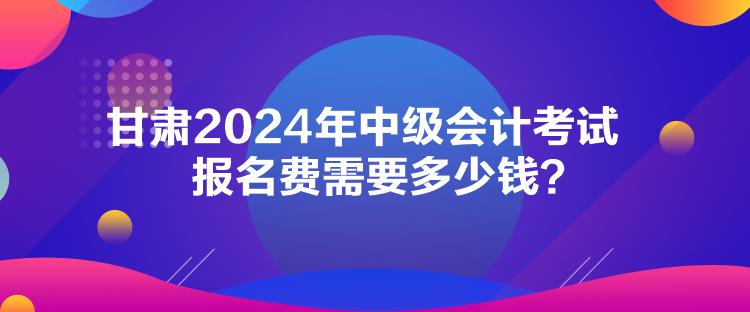 甘肅2024年中級(jí)會(huì)計(jì)考試報(bào)名費(fèi)需要多少錢？