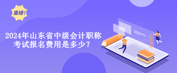 2024年山東省中級(jí)會(huì)計(jì)職稱(chēng)考試報(bào)名費(fèi)用是多少？