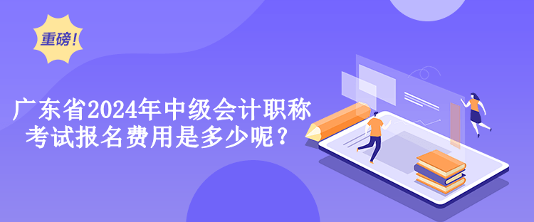 廣東省2024年中級(jí)會(huì)計(jì)職稱(chēng)考試報(bào)名費(fèi)用是多少呢？