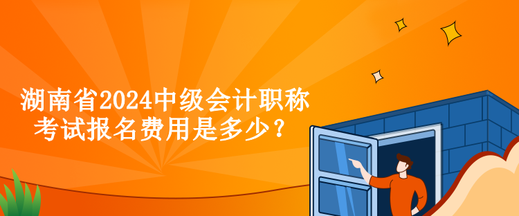 湖南省2024中級會計職稱考試報名費用是多少？