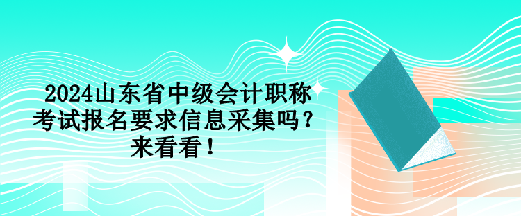 2024山東省中級會計職稱考試報名要求信息采集嗎？來看看！