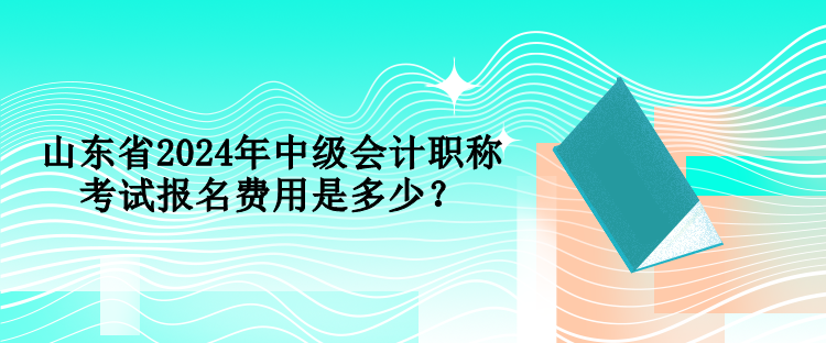 山東省2024年中級(jí)會(huì)計(jì)職稱(chēng)考試報(bào)名費(fèi)用是多少？