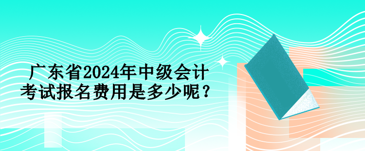 廣東省2024年中級(jí)會(huì)計(jì)考試報(bào)名費(fèi)用是多少呢？