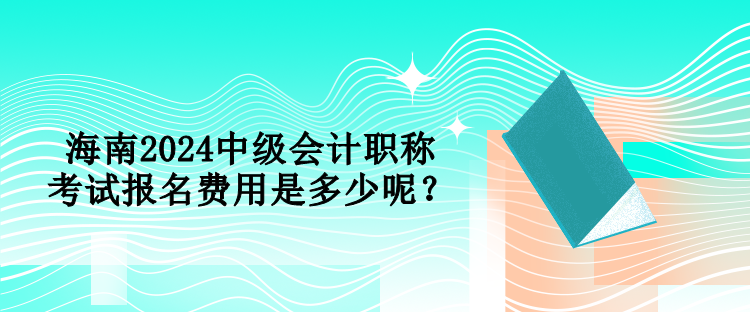 海南2024中級會計職稱考試報名費用是多少呢？