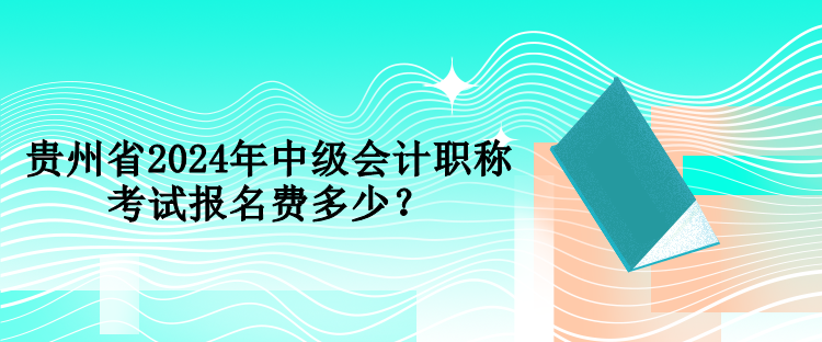 貴州省2024年中級(jí)會(huì)計(jì)職稱(chēng)考試報(bào)名費(fèi)多少？