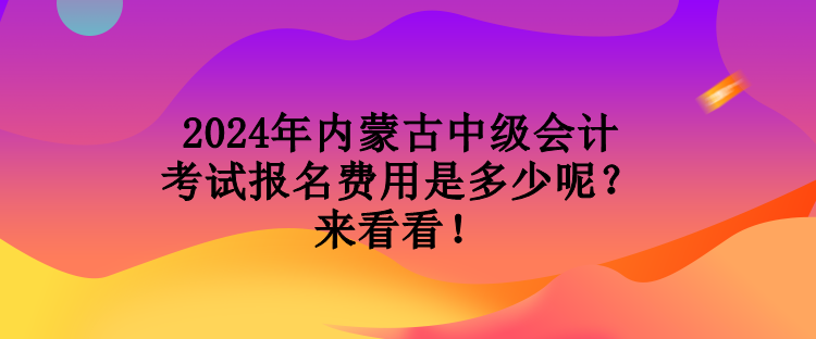 2024年內(nèi)蒙古中級(jí)會(huì)計(jì)考試報(bào)名費(fèi)用是多少呢？來看看！