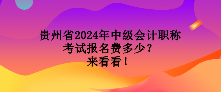 貴州省2024年中級會計職稱考試報名費(fèi)多少？來看看！