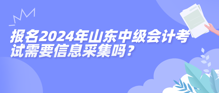 山東中級信息采集